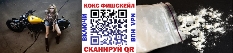 Cocaine FishScale  hydra вход  Петропавловск-Камчатский  цены наркотик 