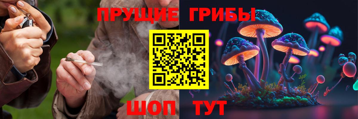 Петропавловск-Камчатский  Галлюциногенные грибы мухоморы  Вход с VPN 